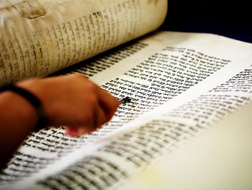 צילום: אפרת ציון